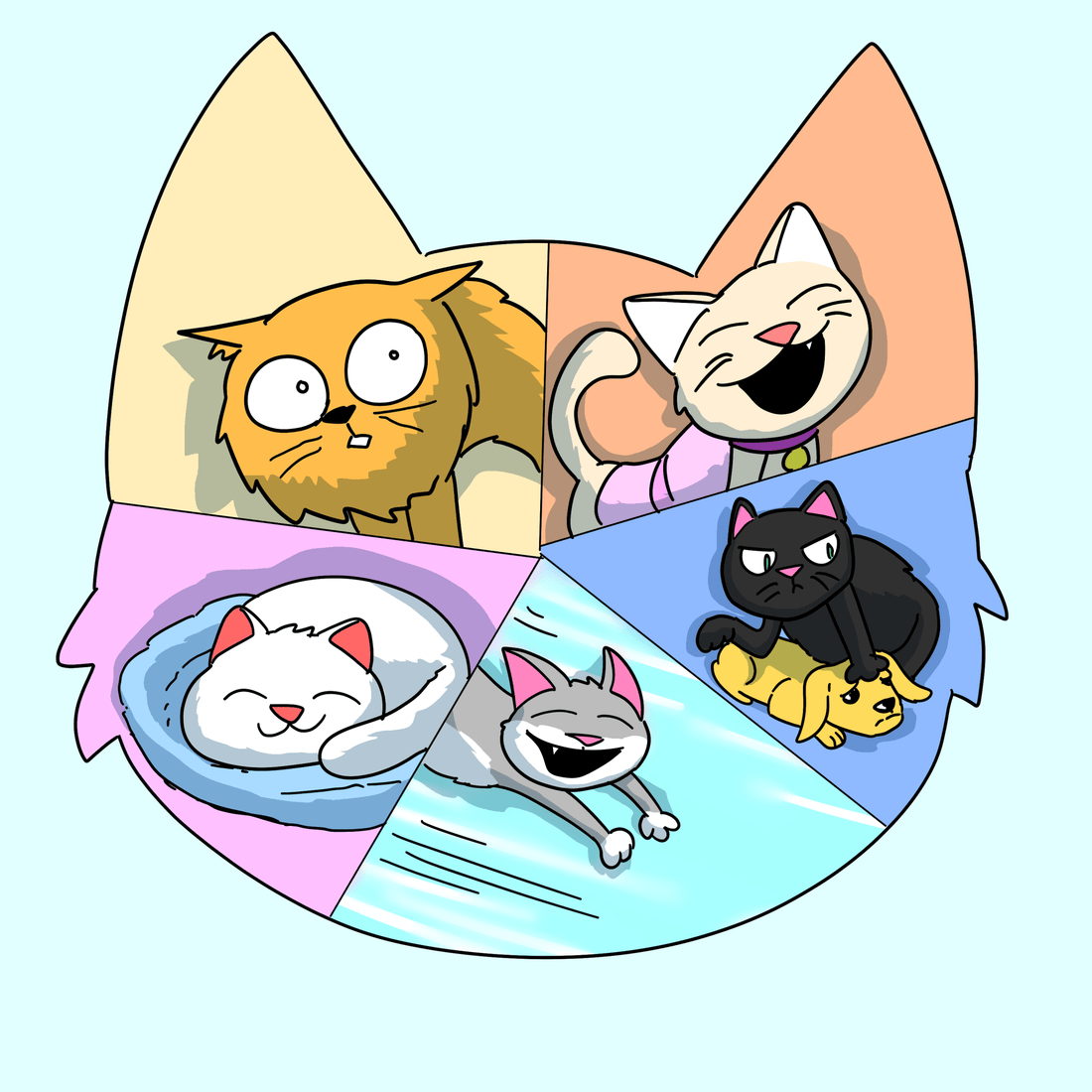 The Five Feline Personality Types & Why the Right Catnip Toy Matters - Cat Crack Catnip