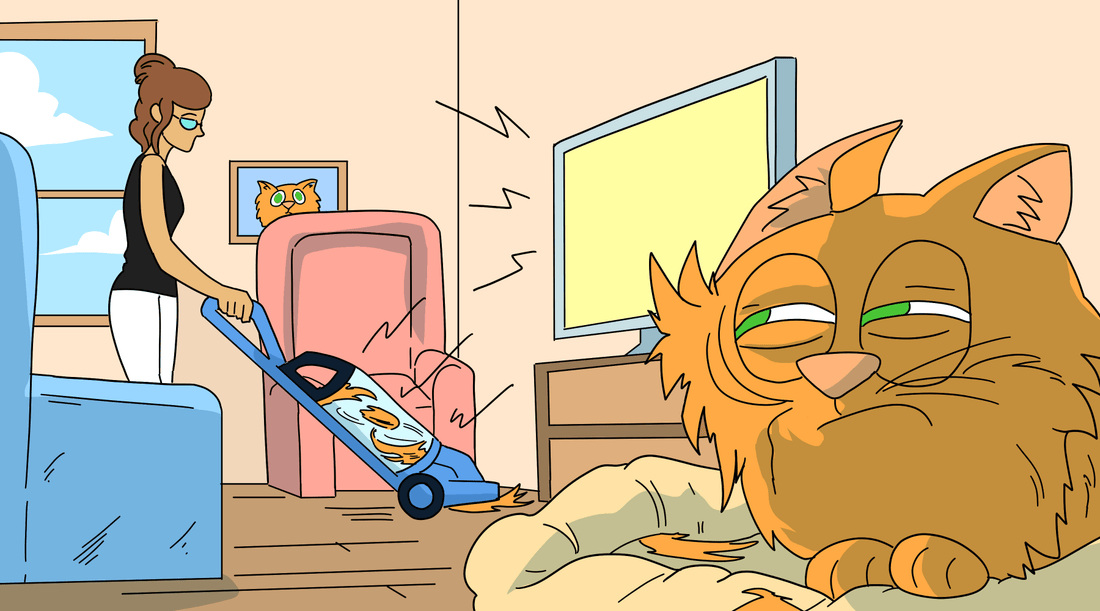 How Do You Perfect Your Catnaps – And What Does Catnip Do To Help? - Cat Crack Catnip