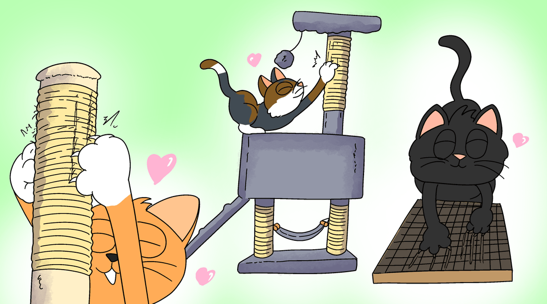 How to Get a Cat to Use a Scratch Pad – and Why They Need One - Cat Crack Catnip