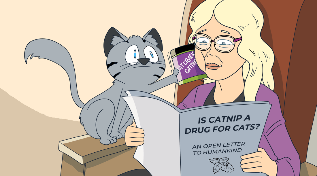 'Is Catnip a Drug?' And Other Questions Asked by Humans  - Cat Crack Catnip