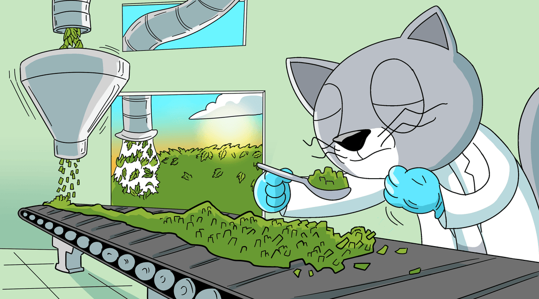 What is Cat Crack? Interview With a Catnip Connoisseur - Cat Crack Catnip