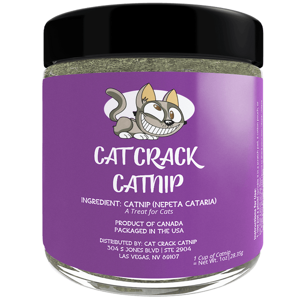 cat-crack-catnip-zoomie-