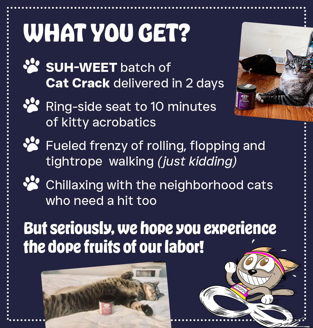 Cat Crack Catnip, ZoomieInducing Cat Nip Blend