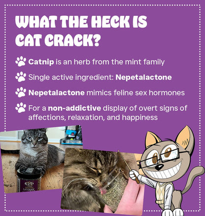 Cat Crack Organic Catnip - Cat Crack Catnip