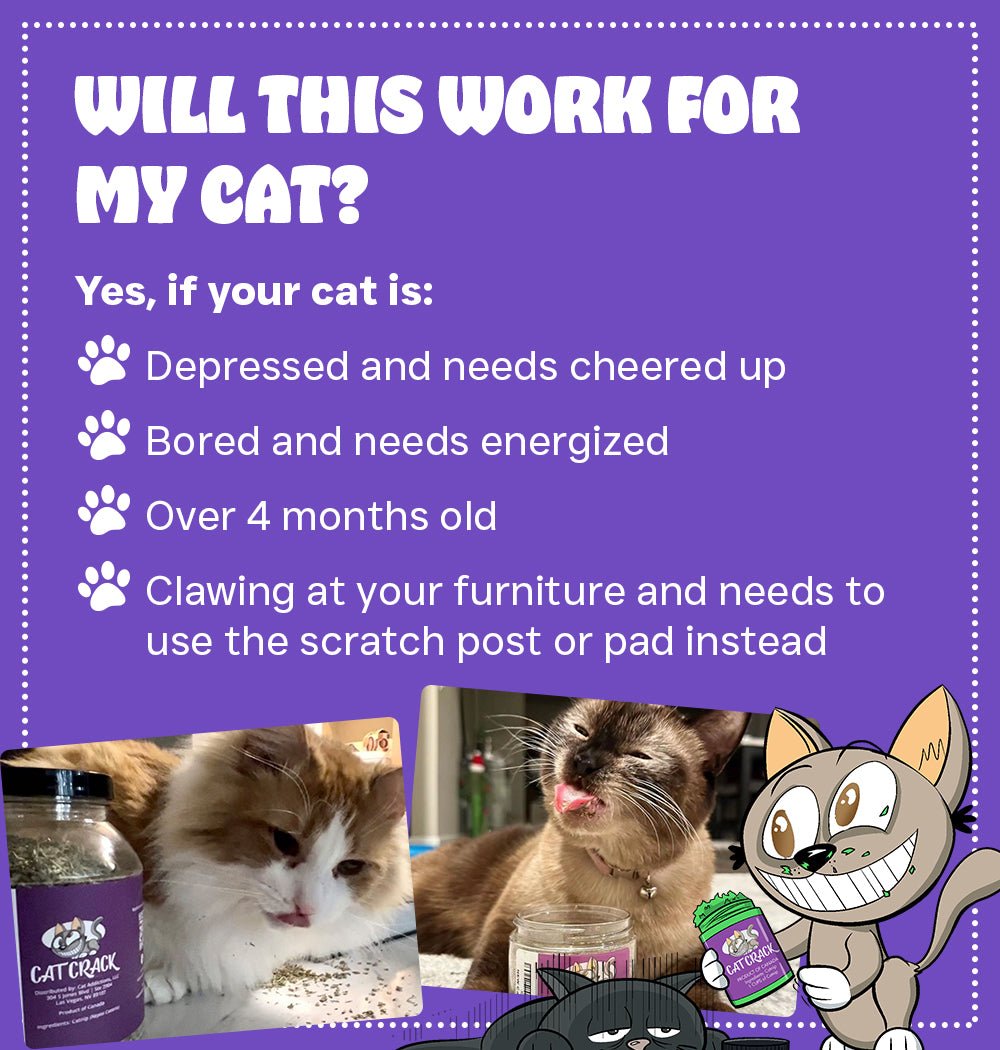 Cat Crack Organic Catnip Cat Crack Catnip